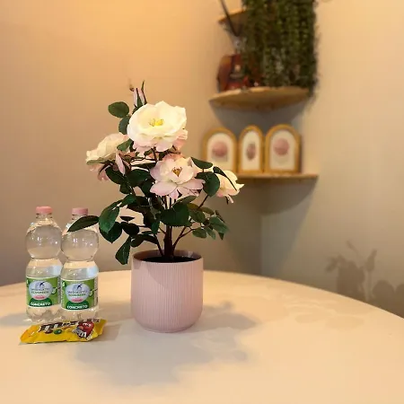 Apartamento Acasadiimma - Monolocale Design Navigli - Duomo A 10 Minuti - San Siro - Bocconi *